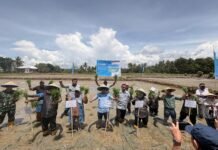 Dari Lahan Kolaka untuk Ketahanan Pangan Indonesia: PT Vale Kolaborasi Padi Berkelanjutan untuk Hadirkan Transformasi Pertanian Berbasis Inovasi