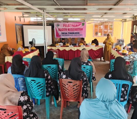 Jadi Narasumber Pelatihan Kader Kesehatan di Desa Tingkara, Kepala UPT Puskesmas Malangke Sampaikan Ini