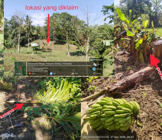 Tukar Guling Kebun Desa Selli Bermasalah, Lahan Almarhum Rani Diserobot OTK