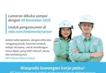 PT Vale Buka Loker Lagi untuk Posisi Instrument dan Control System Engineer