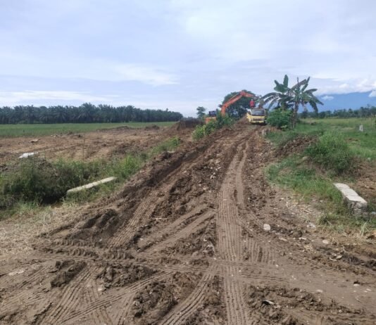 Belum Lama Telan APBD Ratusan Juta, Jalan Desa di Wotu Rusak Akibat Ulah Oknum Pengusaha