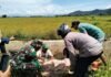 Korban Laka Tunggal di Towuti Tewas, Terjun ke Irigasi Saat Perjalanan Pulang Petik Merica