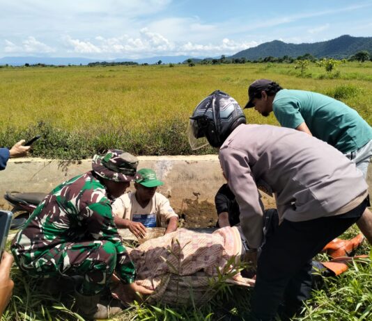 Korban Laka Tunggal di Towuti Tewas, Terjun ke Irigasi Saat Perjalanan Pulang Petik Merica
