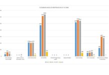 Data Dinkes Ungkap Wilayah Lingkar Tambang Jadi Penyumbang Kasus ISPA Tertinggi di Morowali Utara