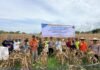 Wujudkan Ketahanan Pangan Berkelanjutan, Petani Binaan PT Vale Panen Jagung Pakan di Tondowolio