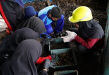 Dorong Literasi Bagi Generasi Muda, PT Vale Edukasi Siswa di Morowali Kelola Sampah Secara Bijak pada Peringatan HPSN