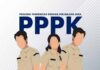 Atas Kebijakan Bupati, 1.016 ASN PPPK Angkatan IV Lingkup Luwu Utara Resmi Terima Perpanjangan Kontrak