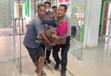 Mobil VS Motor, Dua Orang Mengalami Luka Akibat Benturan