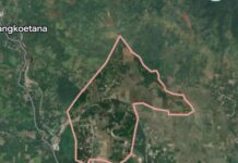 Dugaan Mafia Tanah di Lahan Eks PT Sindoka, Tawarkan Harga ke Warga Rp. 15 Juta Per Hektar