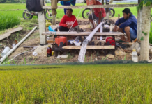 Petani di Bengo Terancam Gagal Panen, PLN Hadir di Tengah Jeritan Masyarakat