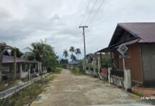 Akhirnya Terang, Desa Tanauge Mulai Dialiri Listrik Setelah Penantian Panjang