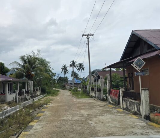 Akhirnya Terang, Desa Tanauge Mulai Dialiri Listrik Setelah Penantian Panjang