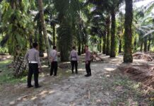 Tindaklanjuti Informasi Warga, Polsek Bone-Bone Grebek Lokasi yang Diduga Jadi Arena Sabung Ayam di Bungadidi