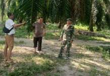 Dilaporkan Marak Sabung Ayam, Respon Kanit Reskrim Polsek Bone-Bone Dinilai Tidak Maksimal dan Kirim Foto Lama