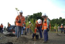 Perkuat Komitmen Hijau di Area Operasi Morowali, PT Vale Tanam Pohon dan Gaungkan Hemat Energi di Hari Bumi 2026