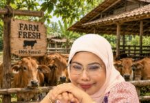 Ketua DPRD Morut Warda Dg Mamala Salurkan 26 Ekor Sapi Kurban ke 9 Kecamatan