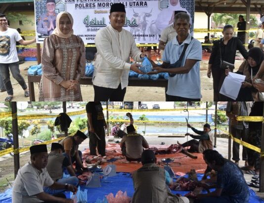 Polres Morowali Utara Tebar Kepedulian di Iduladha 1447 H, Sembelih 20 Sapi dan 4 Kambing