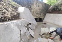 Proyek Rehabilitasi di Bengo Ambruk, Pengawas PT Bumi Karsa Salahkan Lumut