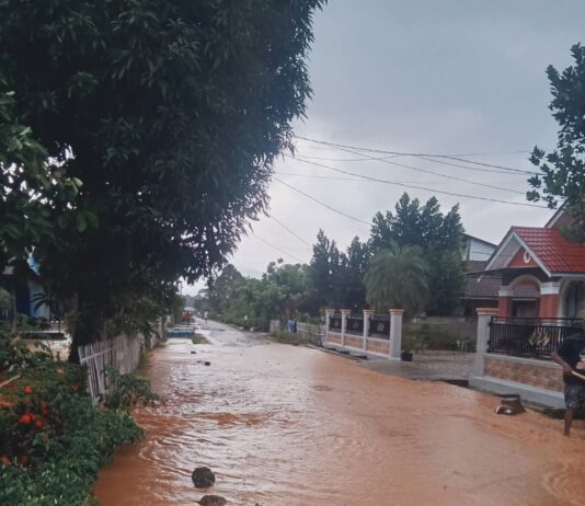 Menjadi Langganan Banjir Pemdes Wonorejo Timur Harapkan Bantuan Dari Pemerintah Daerah