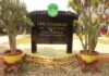 SDN 131 Kampung Alau Disanksi Pengembalian Anggaran, Belanja Racun Rumput Hingga Jutaan