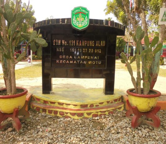 SDN 131 Kampung Alau Disanksi Pengembalian Anggaran, Belanja Racun Rumput Hingga Jutaan