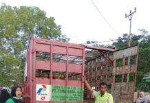 PT Ponggawa Gas Morut Sukses Gelar Operasi Pasar LPG 3 Kg Murah di Bungku Utara dan Mamosalato