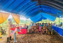 Produktivitas Capai 6,2 Ton per Hektare, Bupati Delis Puji Kinerja Petani Desa Ronta