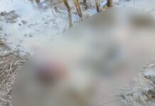 Pelaku Pembunuhan Wanita di Kalaena Ditangkap, Rupanya Bertetangga !