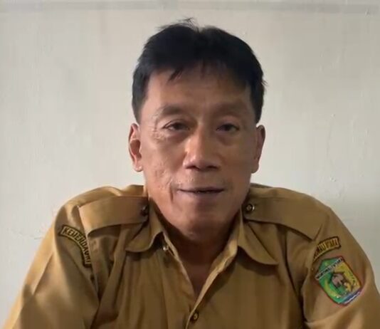 Diskoperindagkop Morut Siapkan Pendampingan bagi UMKM Terdampak PHK