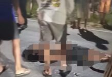 Pengendara Motor Kritis Tabrak Truck di Jalan Trans Sulawesi Tomoni