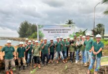 Hari Mangrove Sedunia, PT Agro Nusa Abadi Tanam 100 Pohon di Kawasan Pesisir Morowali