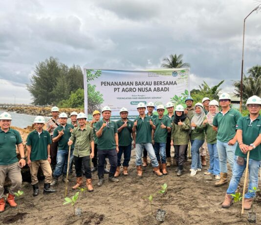 Hari Mangrove Sedunia, PT Agro Nusa Abadi Tanam 100 Pohon di Kawasan Pesisir Morowali