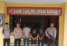 Tertangkap Basah Curi Sawit, Tiga Warga Diamankan Polisi di Morowali Utara
