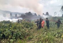 Dua Lokasi Kebakaran Lahan Terjadi di Lembo, 14 Hektare Terbakar dalam Tiga Hari