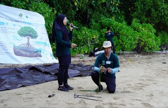 Merawat Pesisir, Menjaga Masa Depan: Kolaborasi PT Vale Kuatkan Ketahanan Ekosistem Luwu Timur