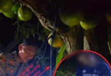 Diduga Korban Pembunuhan, Mayat Pria di Ponre Alami Patah Leher dan Posisi Terikat Tali