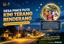 Desa Pince Pute Malangke Kini Terang Benderang, Warga: Terima Kasih, Opu Bupati