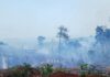 GAKKUM Tegaskan Petani Wajib Patuh Aturan Penggunaan Kawasan Hutan