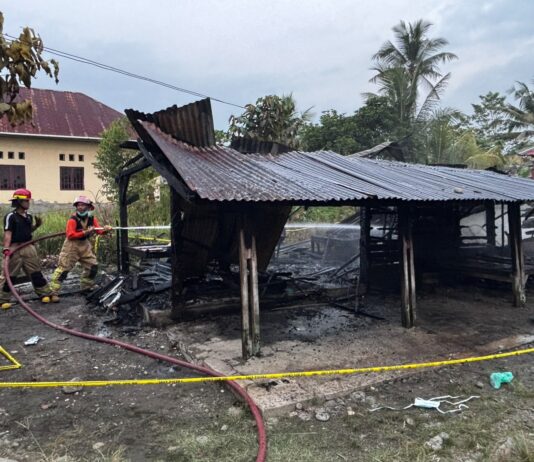 Kebakaran Rumah di Luwu Timur, Nenek 101 Tahun Tewas Terbakar