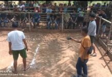 Warga Geram Ada Judi Sabung Ayam di Tomoni, Peserta Lintas Provinsi !