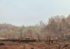 Warga Loeha Raya Minta Gakkum Usut Tuntas Oknum Pembakar Hutan