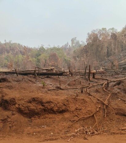Warga Loeha Raya Minta Gakkum Usut Tuntas Oknum Pembakar Hutan